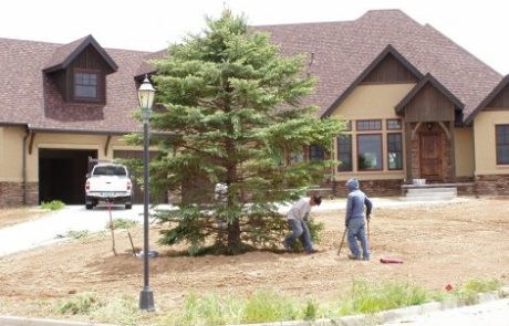 Loew Residence in Progress